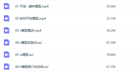 深入了解软件测试视频